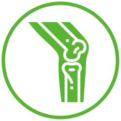 OSSA