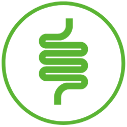 INTESTINO